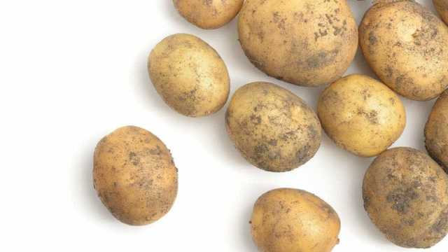 Cientistas criam a “batata de ouro”, rica em vitaminas A e E