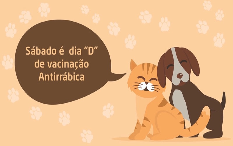 Dia D de Campanha de Vacinação Antirrábica acontece amanhã em Crato
