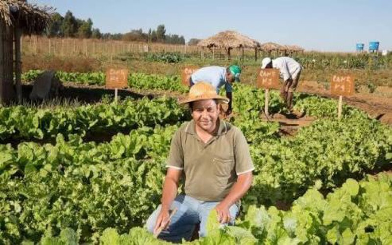 Milagres/CE- Nova gestão de Prefeito mostra resultados positivos para agricultores em apenas 10 meses