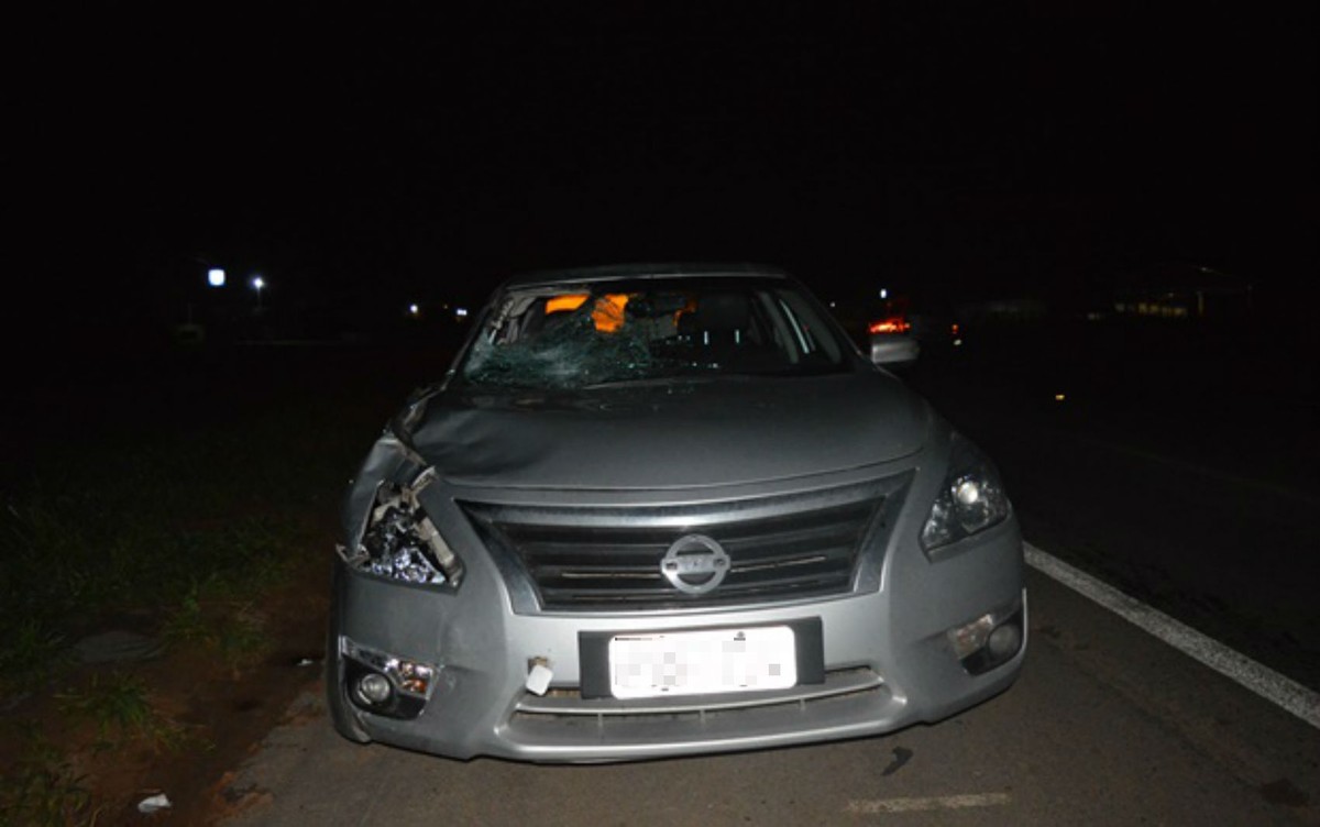 Homem morre atropelado na BR-020, em Luís Eduardo Magalhães; motorista tentou evitar colisão