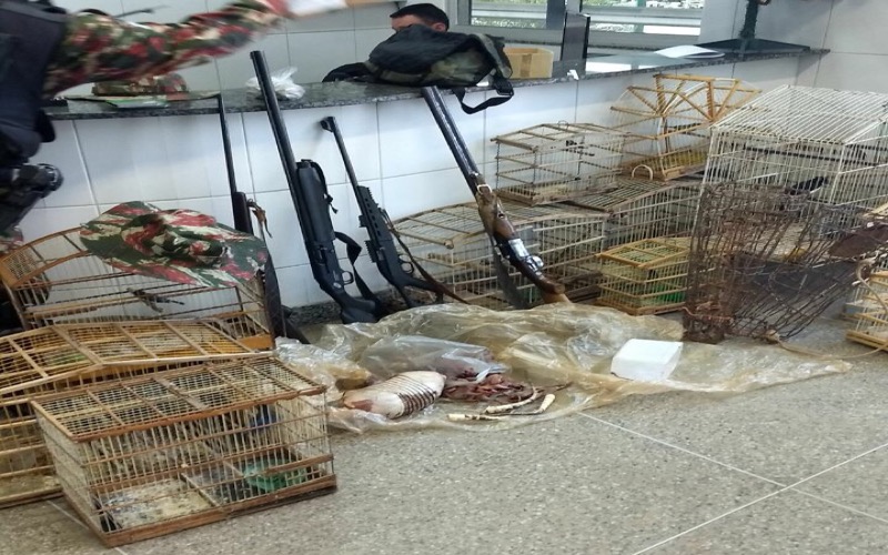 CRATO – Polícia Ambiental prende suspeito de crimes ambientais e apreende varias aves e armas de fogo