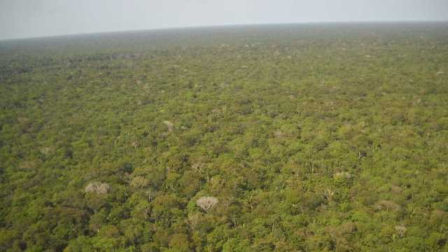 Militares dos EUA na Amazônia é teoria da conspiração, diz general