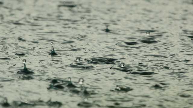 Temporal causa alagamentos e quedas de árvores em cidades de SP