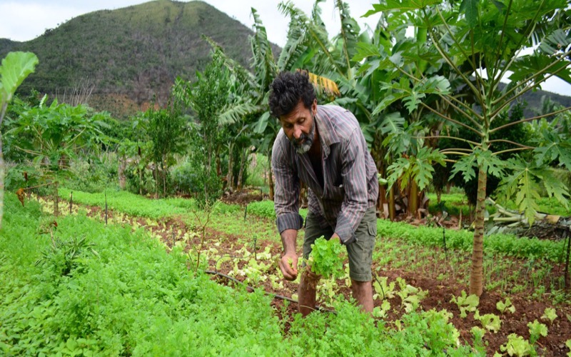 Câmara do Crato aprova Conselho Municipal de Desenvolvimento Agrário