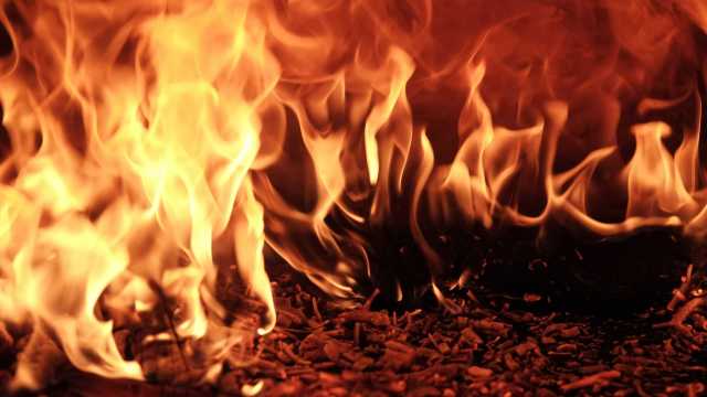Incêndio atinge galpão da escola de samba em São Paulo