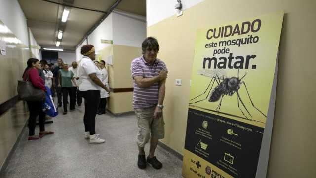 Mitos e verdades sobre o surto de febre amarela no Brasil