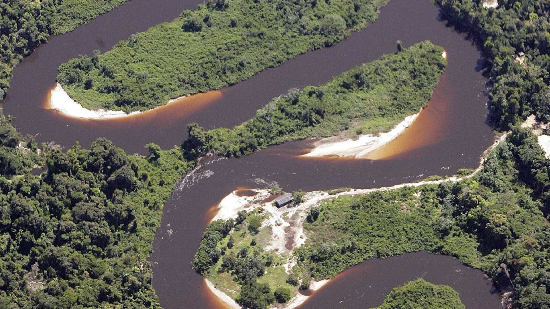 ‘Custa menos deixar a floresta viva do que derrubá-la’, diz biológo