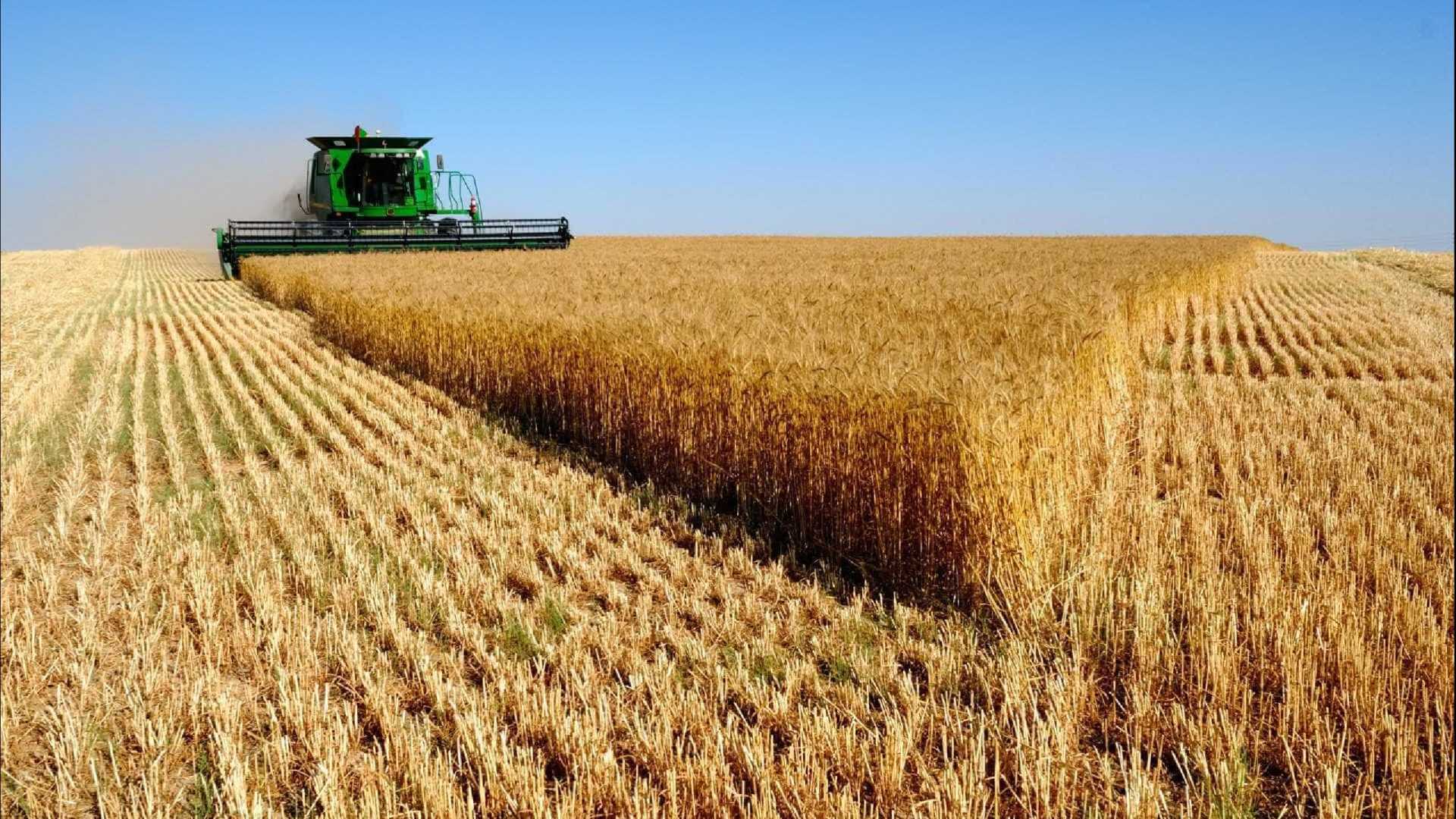 Venda de inteligência visa atrair estrangeiros no agronegócio