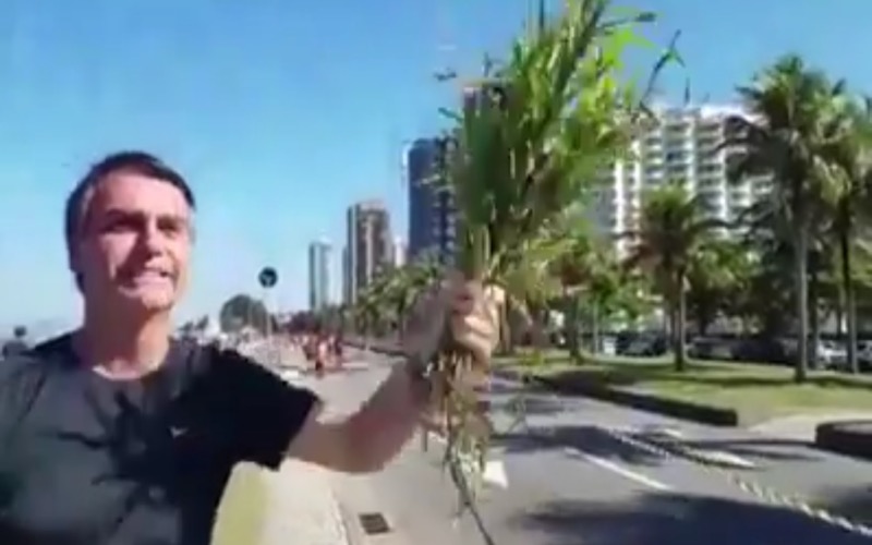 Bolsonaro classifica eleitores de Lula como burros ao oferecer capim para almoço durante maratona no RJ