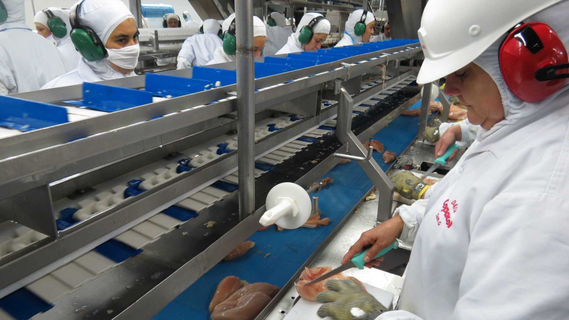União Europeia embarga 20 frigoríficos de frango do Brasil