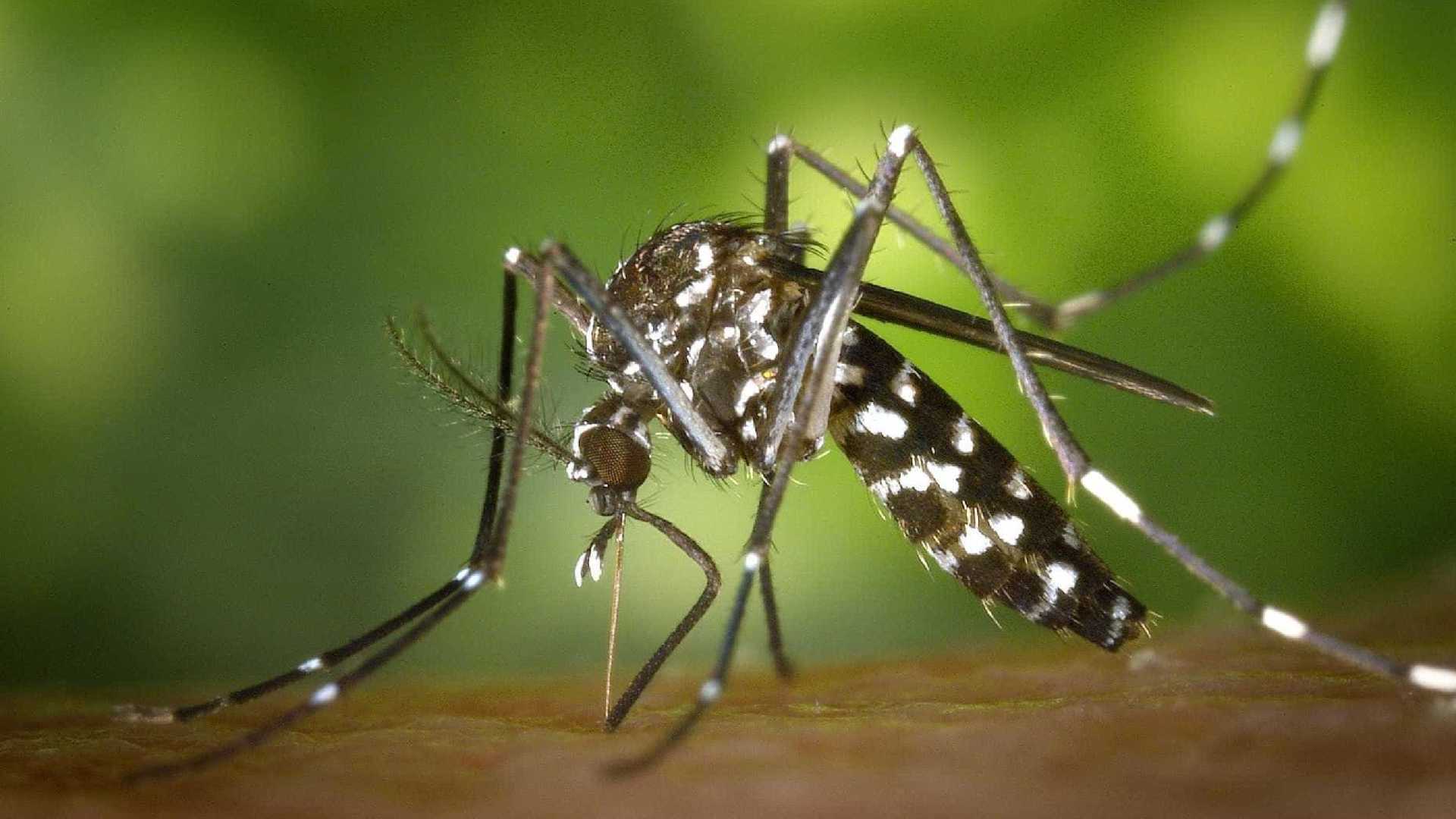 Roraima confirma 5.750 casos de malária em três meses