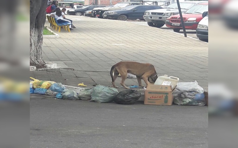 População reclama da ineficiência na coleta de lixo do município de Caririaçu-CE