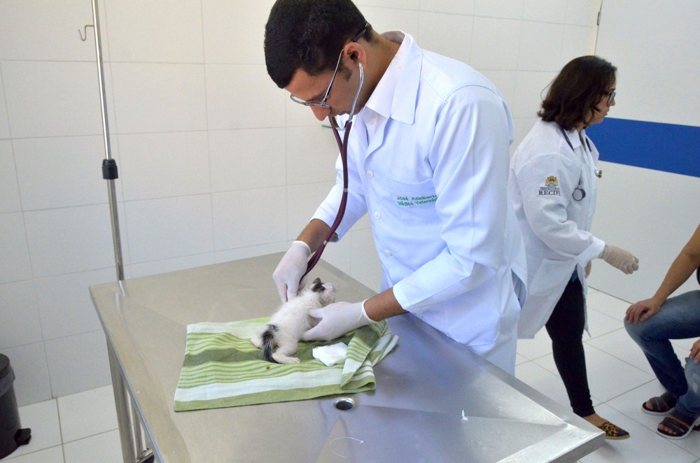 Hospital Veterinário do Recife agenda castrações gratuitas de cães e gatos para maio