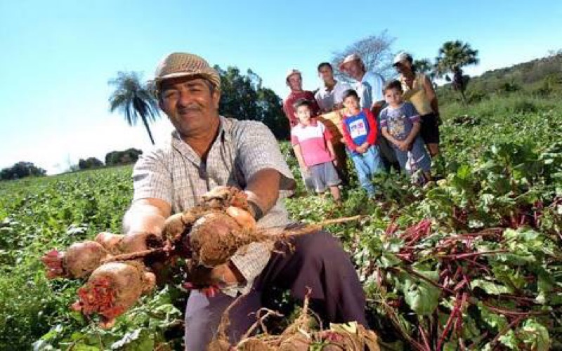 Agricultura familiar recebe mais de R$ 1 bilhão  em recursos pelo Banco do Nordeste