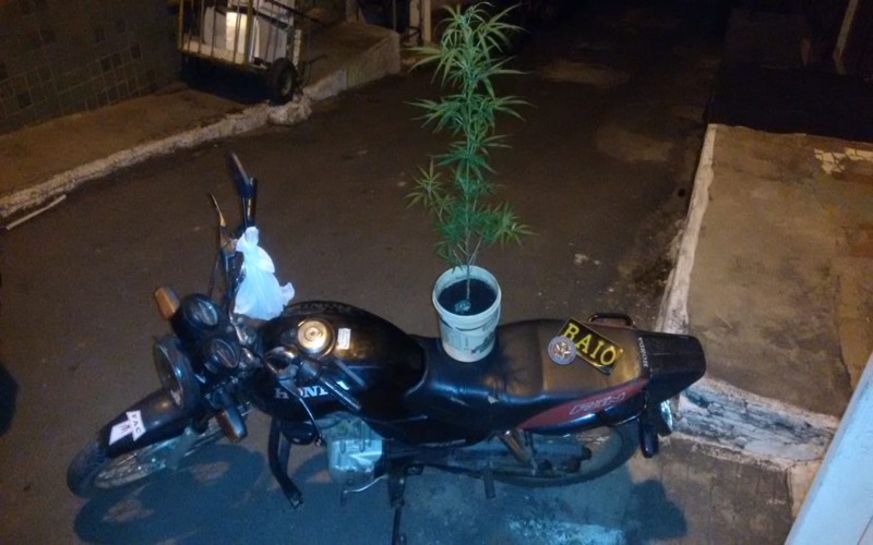 BPRAIO recupera motocicleta e apreende drogas no Bairro Vila Alta em Crato-CE