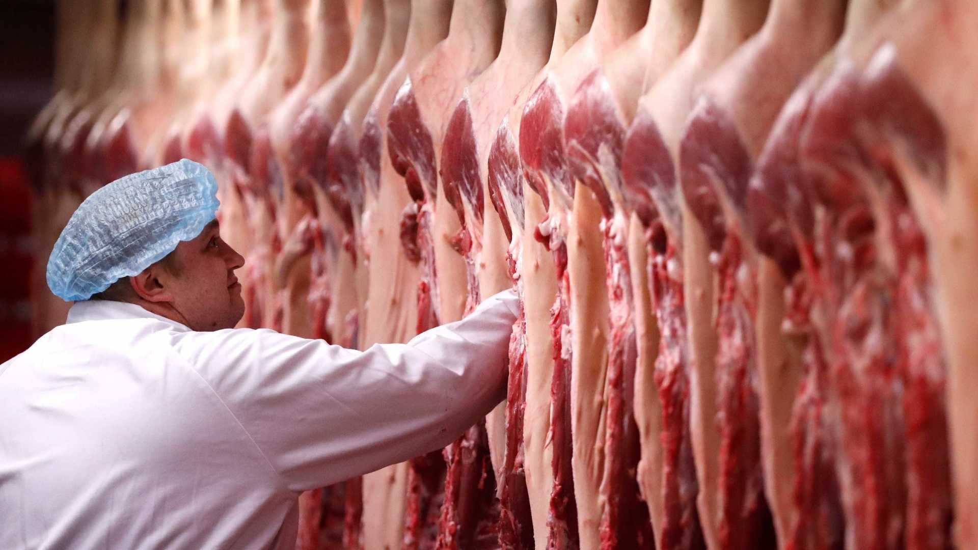 Ração começa a chegar nas granjas e 42 frigoríficos retomam abates