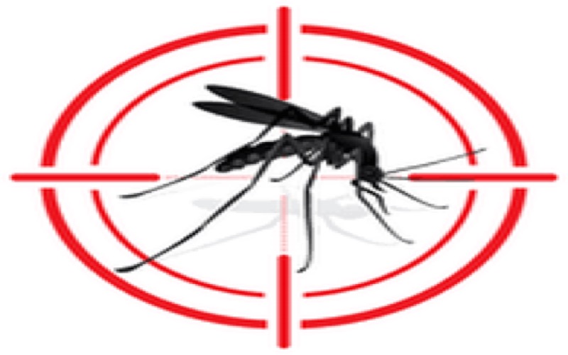 Município de Farias Brito cria Lei de combate ao Aedes Aegypti
