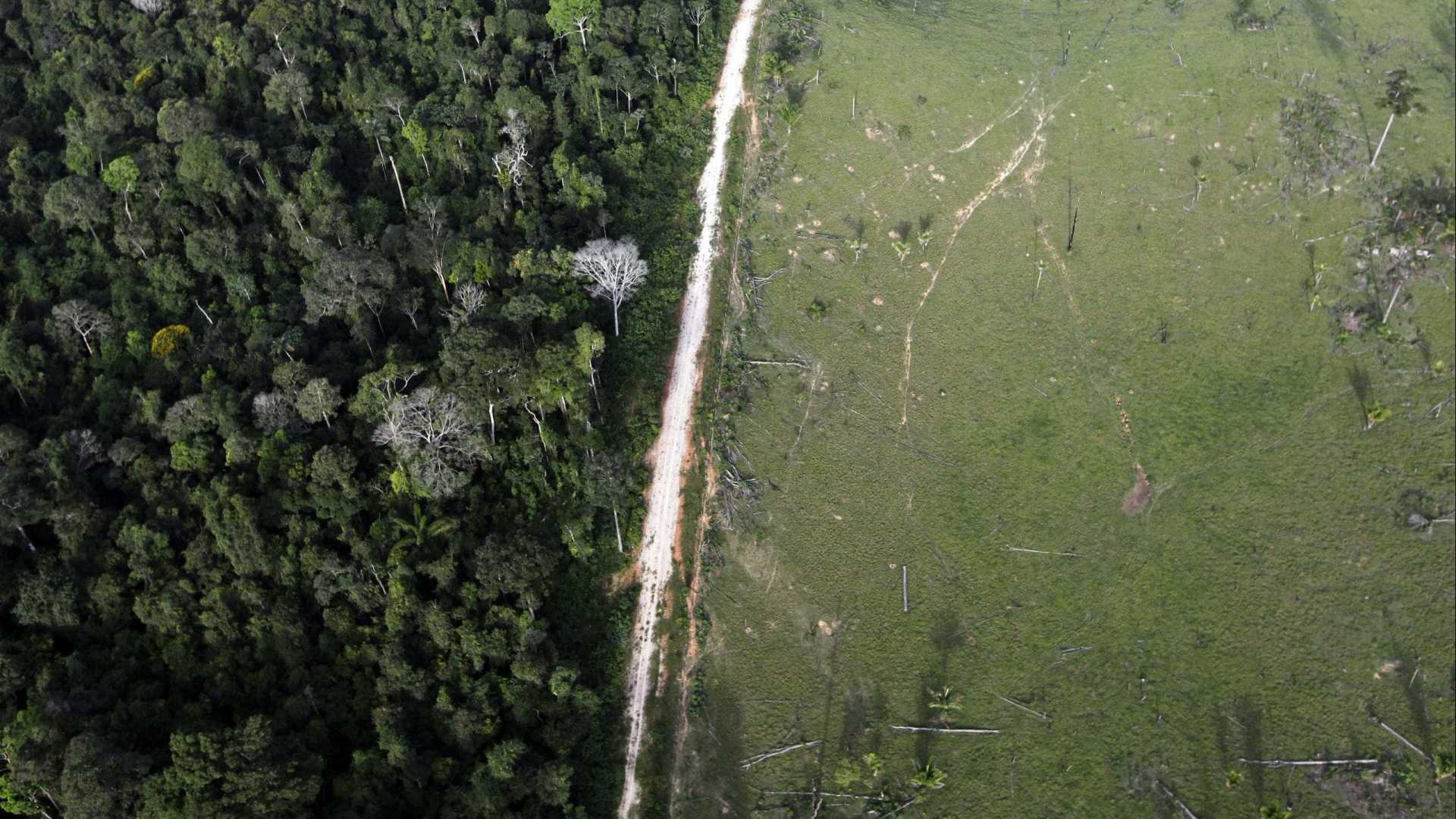 Retrocesso ambiental no Brasil pode custar R$ 20 tri ao resto do mundo