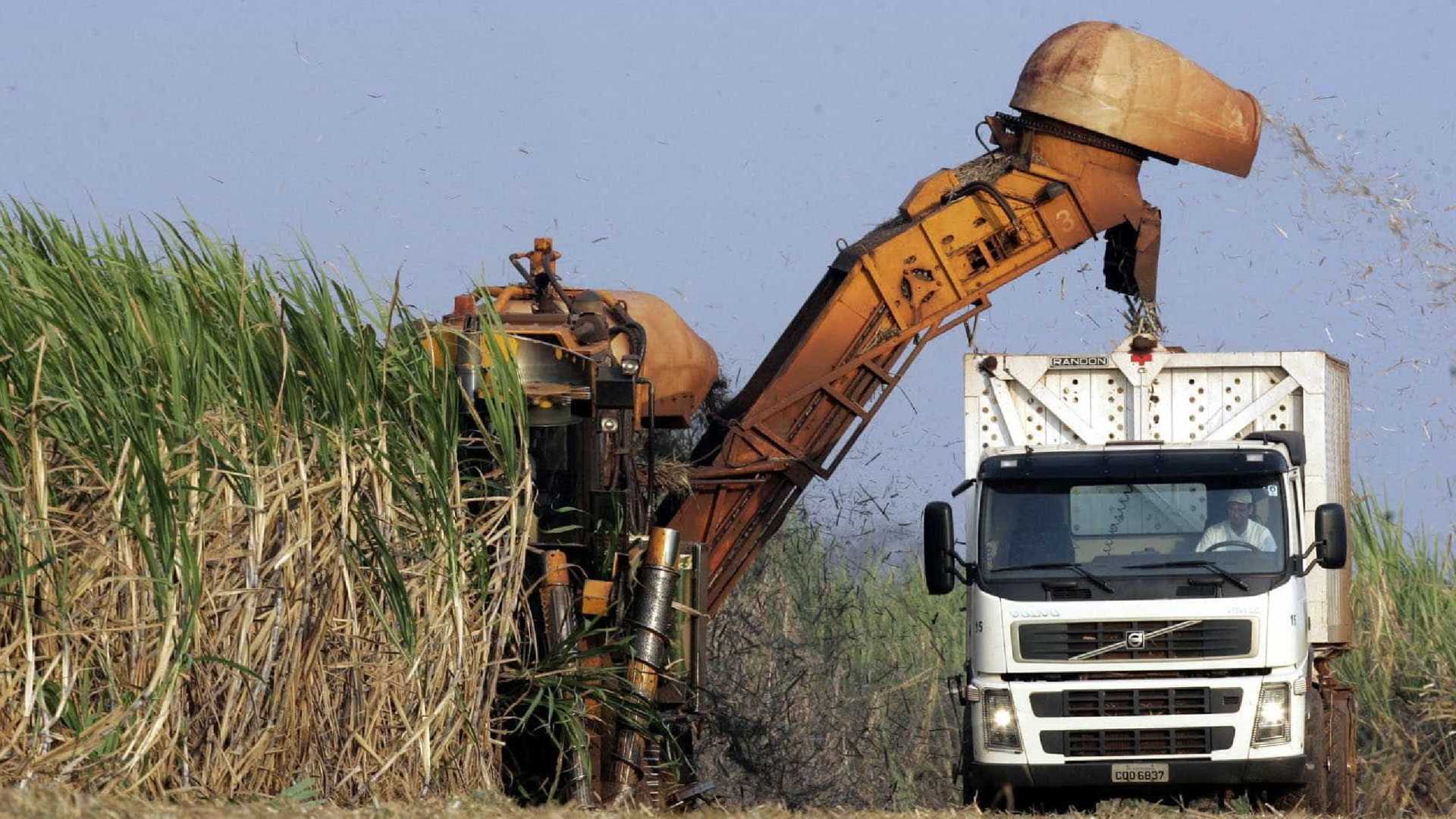 Ministros da Agricultura do G-20 criticam protecionismo