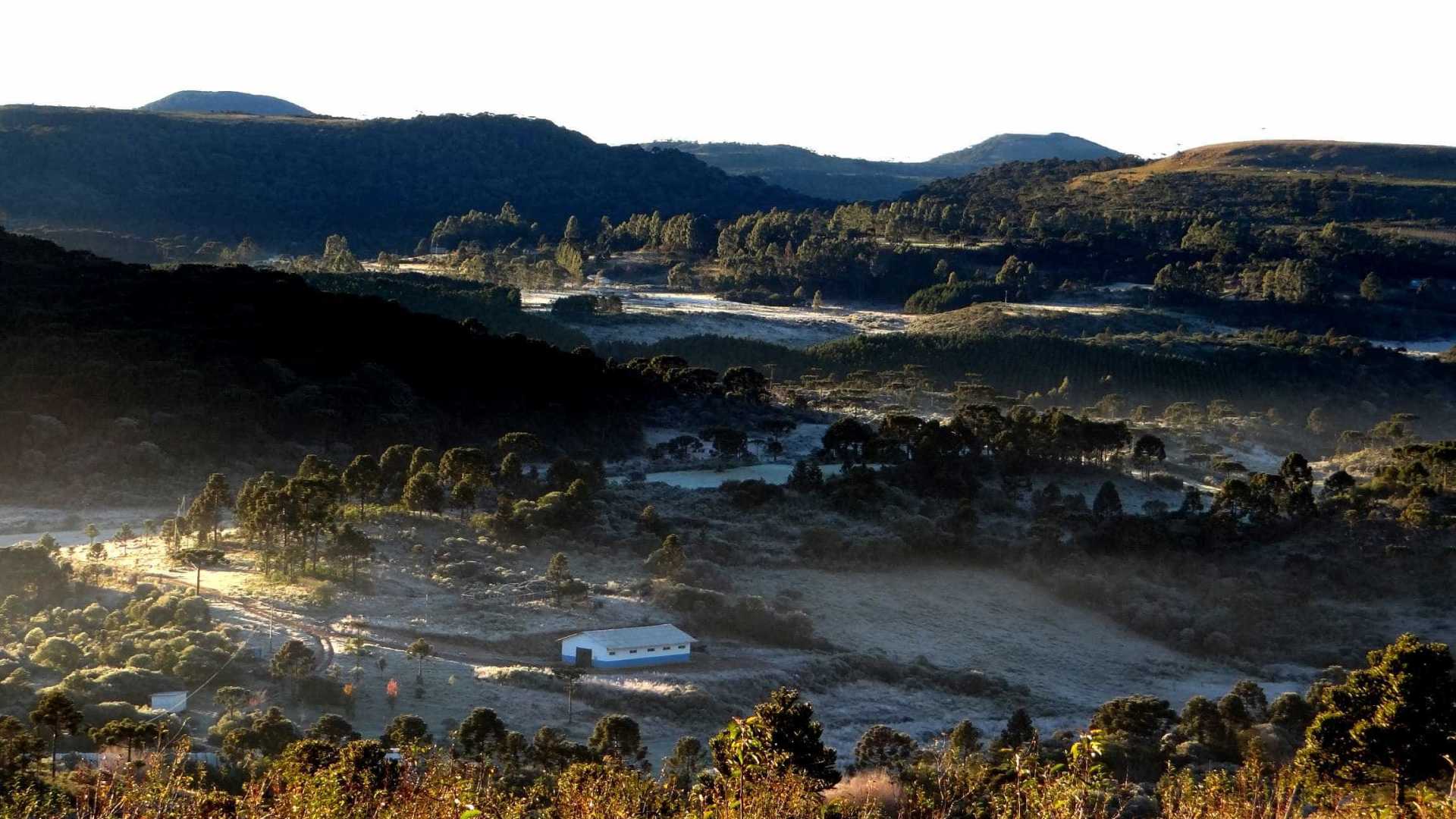 Santa Catarina registra temperaturas negativas e geada nesta madrugada