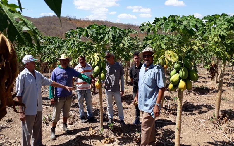 Desenvolvimento Agrário do Crato inicia medições para recuperação de pequenos açudes