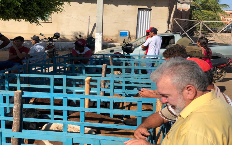 Afonso Sampaio participa da feira de animais de pequeno porte em Nova Olinda-CE