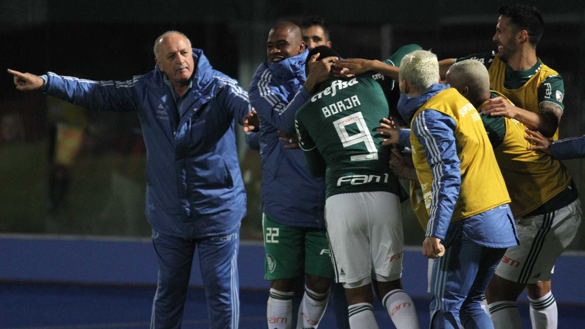 Futebol: Palmeiras brilha na Libertadores e Vasco cai na Sul-Americana