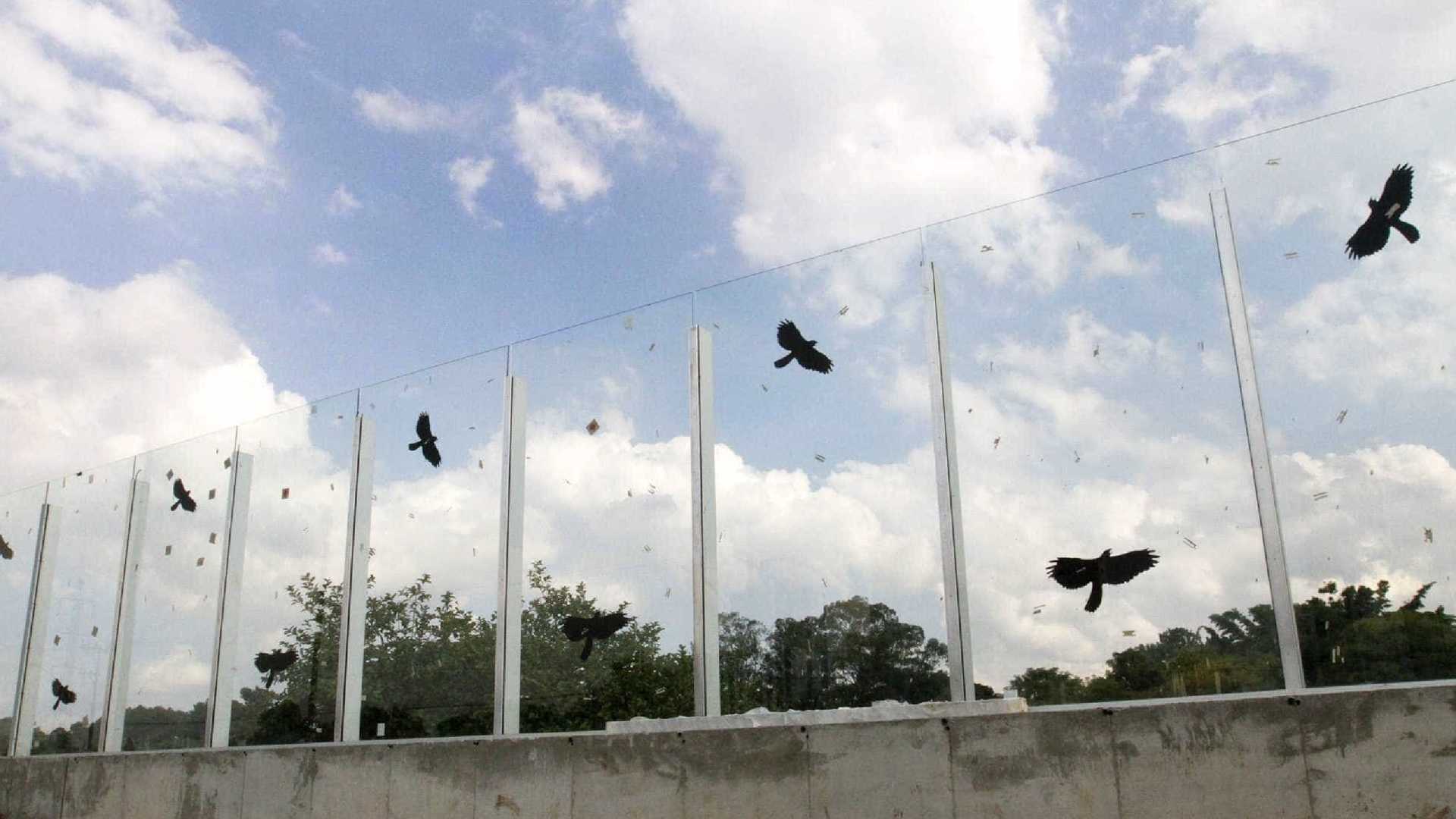 Sem dono, muro de vidro na USP tem abandono e investigação inconclusiva