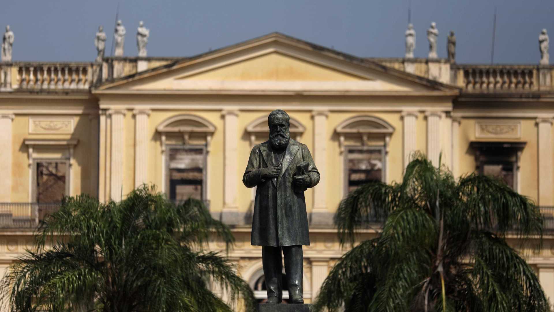 Família encontra jacaré embaixo de carro na Zona Oeste do Recife