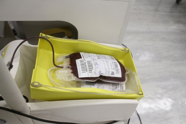Baixo estoque de sangue leva hospital a convocar doadores no Grande Recife
