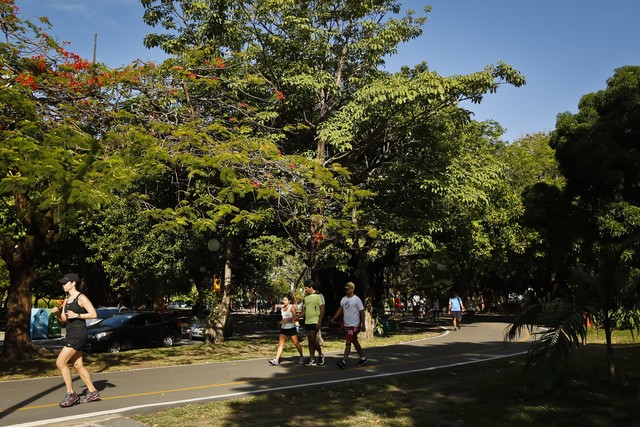Dia Mundial sem Carro tem passeios e shows gratuitos no Recife