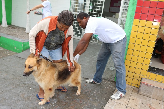 Mais de 1,5 milhão de cães e gatos devem ser vacinados contra a raiva em Pernambuco