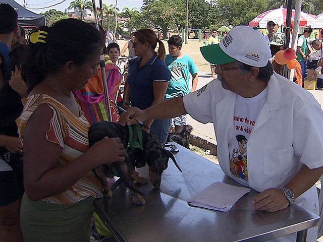 Dia D de vacinação contra a raiva animal conta com mais de 400 postos no Recife