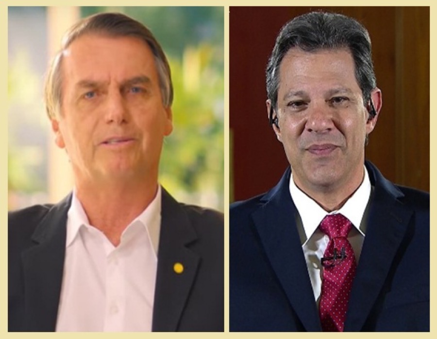 Pesquisa BTG Pacutal: Bolsonaro, 59%; Haddad, 41%