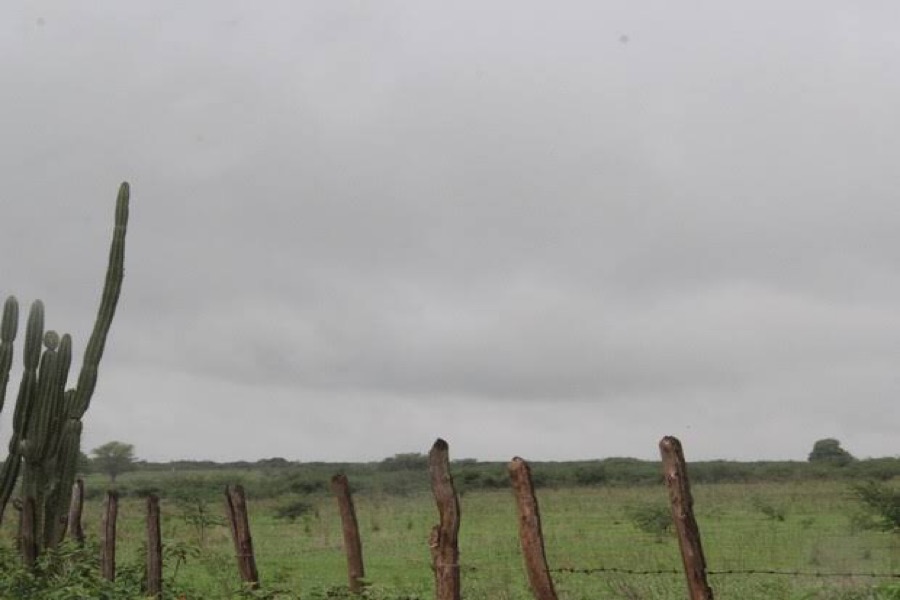 Região do Cariri amanhece com registros de leves chuvas
