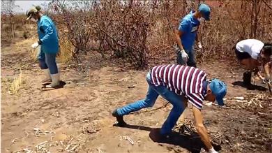 Centro de Controle de Zoonoses recolhe corpos de cães encontrados no bairro Campo Alegre