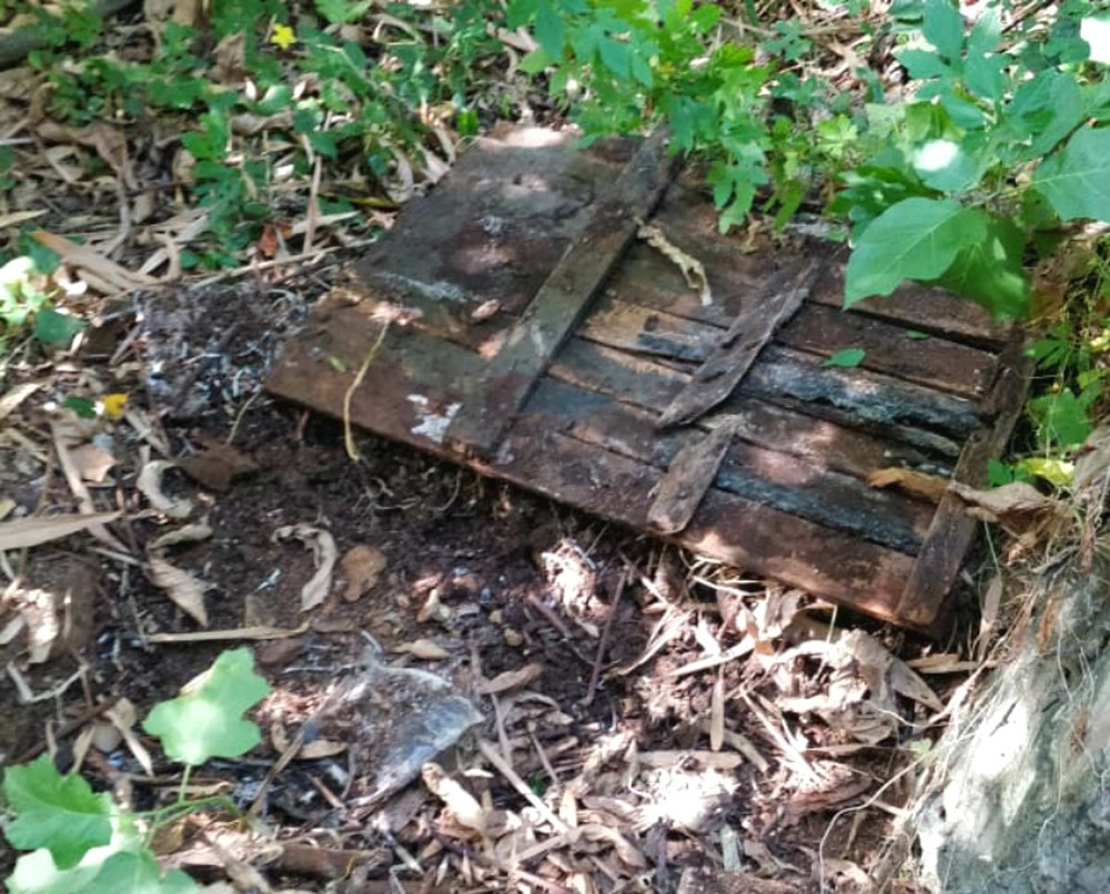 Alçapões e buracos usados por bandidos para esconder armas são achados em área de Mata Atlântica, em Salvador
