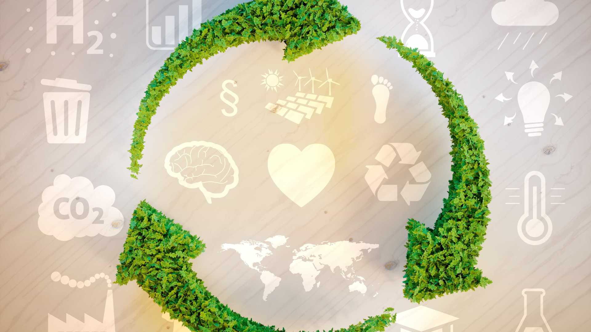 Consumo consciente ajuda preservação da natureza e gera empregos