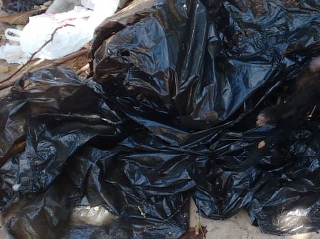 Oito cachorros são encontrados mortos dentro de sacos plásticos no Grande Recife