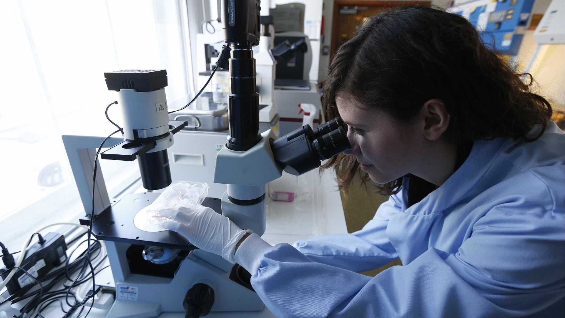 Brasil pode perder outros 3,3 mil médicos que não têm Revalida