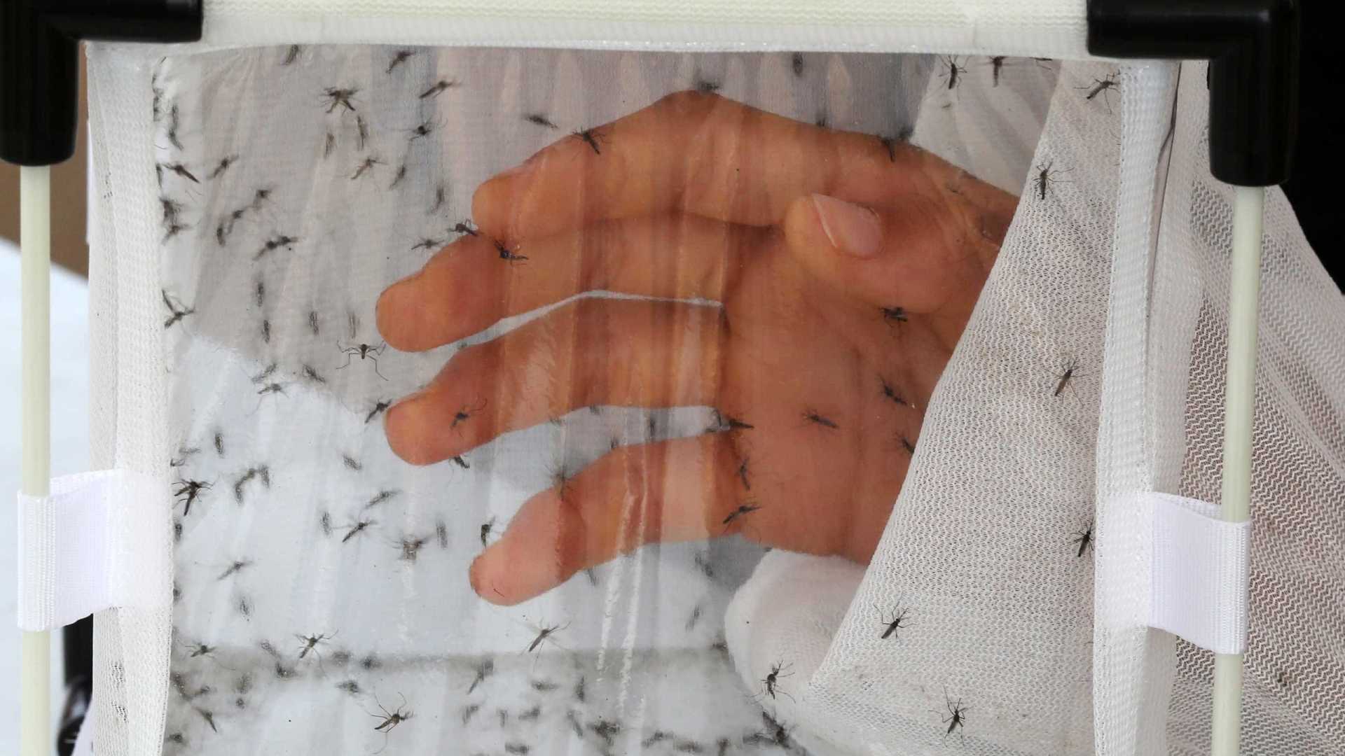 Combate ao Aedes ganha reforço a partir deste domingo (25)
