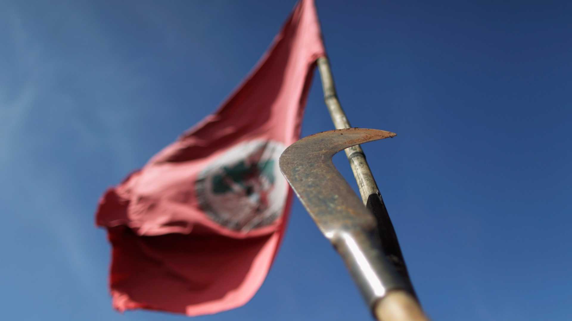 Justiça manda 1.800 sem-terra deixarem fazenda invadida no sul de MG