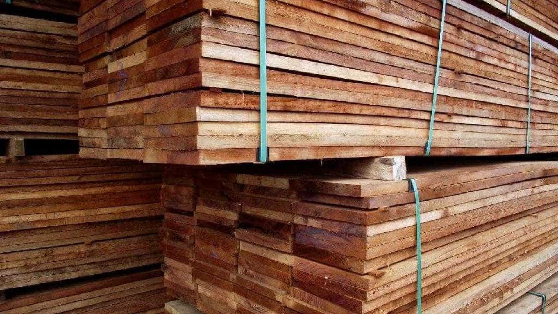 Protesto de madeireiros obriga Ibama a fugir de cidade do AM