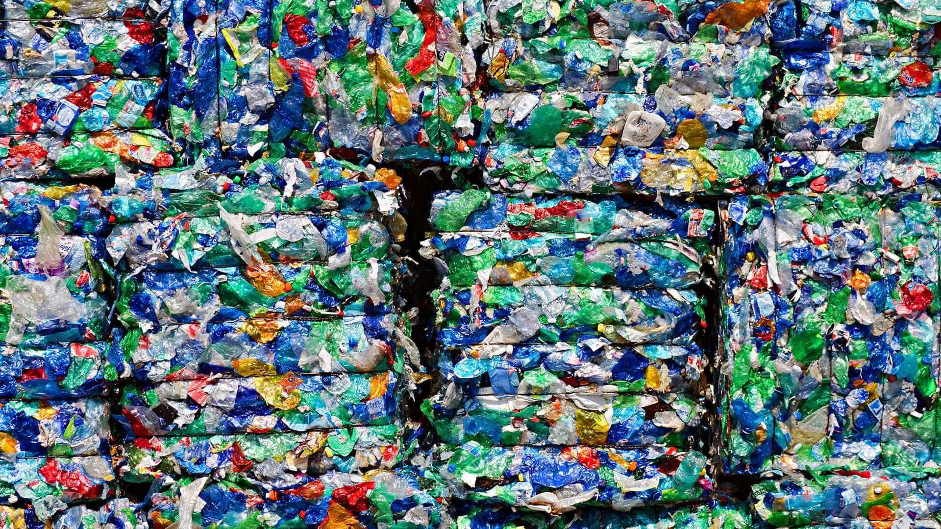 Aceleradora de cooperativas faz 1 ano e apoia 160 no país