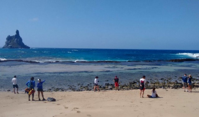 Horário para agendamento de visitas aos atrativos do Parque Fernando de Noronha é reduzido
