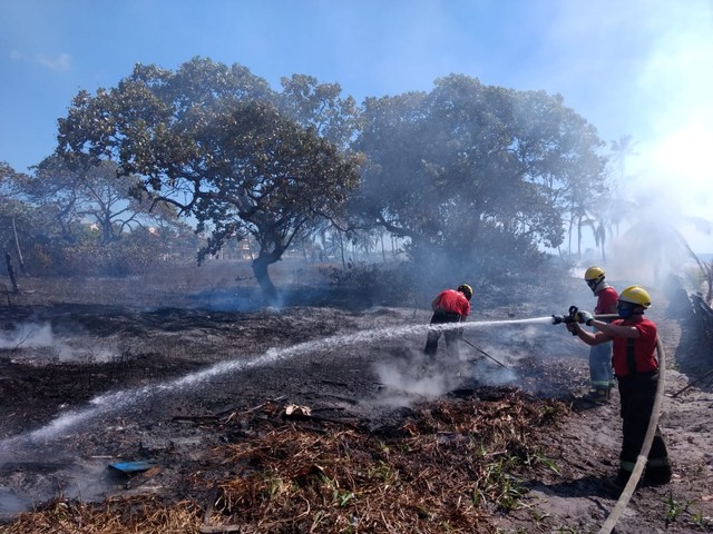Bombeiros combatem incêndio em vegetação em Paripueira, AL