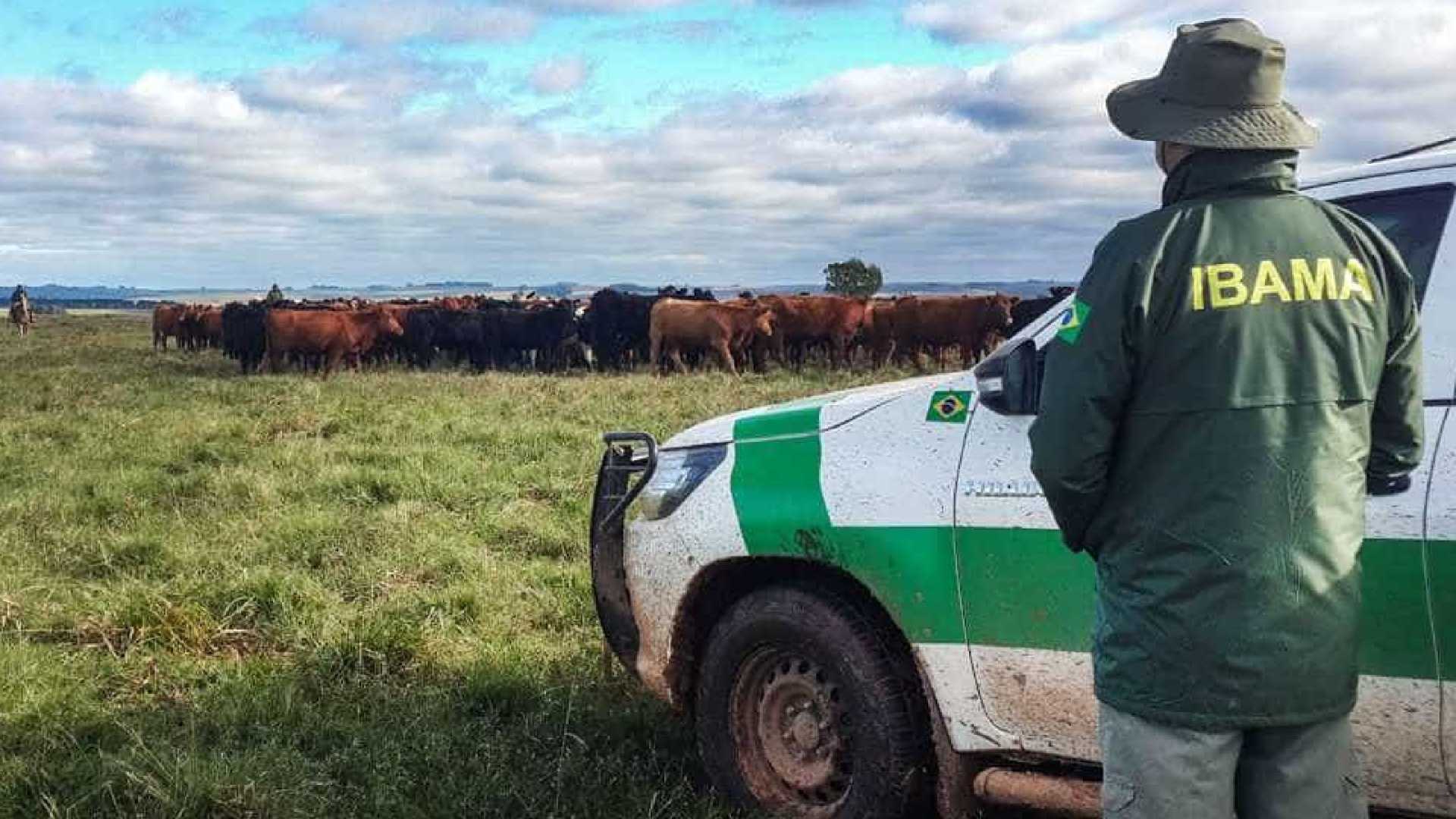Ministério quer punir fiscais que tenham multas inconsistentes