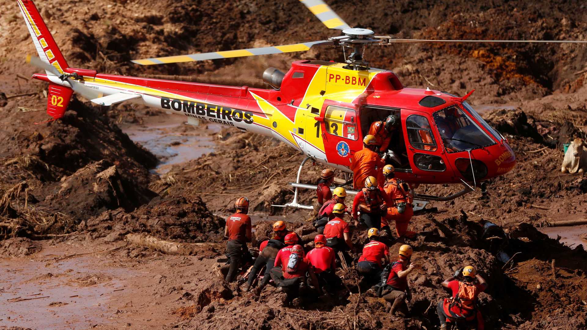 Sobe para 84 número de mortos em Brumadinho; há 276 desaparecidos