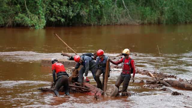 Profissionais que atuaram em Brumadinho serão monitorados por 20 anos