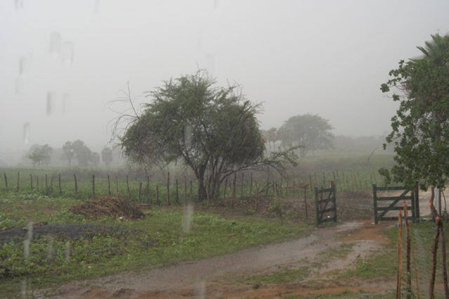 Com 120 milímetros, Crato teve a maior chuva do Cariri